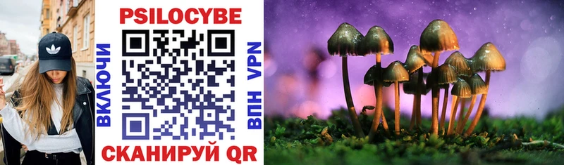 Купить где Нарьян-Мар Галлюциногенные грибы MAGIC MUSHROOMS