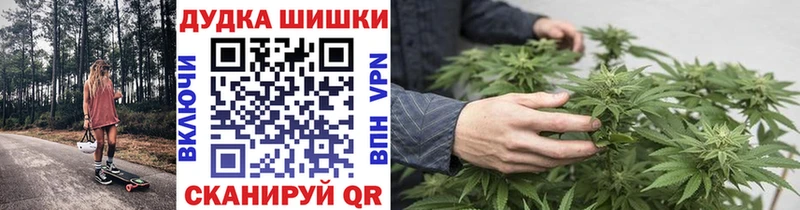 Купить где Нарьян-Мар Бошки Шишки планчик